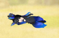 2025-03-03 22_27_04-2089_5_1_Screenshot_2024-02-29-23-07-30-661_com.linecorp.LGMF.jpg.e2787ac5-bb0e-.png