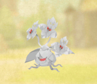 2025-01-12 21_01_11-Screenshot_20240804-055644.png - IrfanView.png