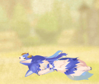 2025-01-12 20_32_15-Screenshot_20240804-054216.png - IrfanView.png