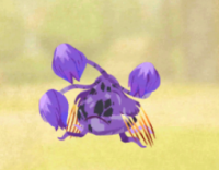 2023-12-24 21_40_07-Window.png