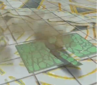 2025-01-23 13_58_53-vlcsnap-00632.png - IrfanView.png