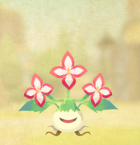 2025-08-07 09_01_38-IMG_2574.PNG - IrfanView.png