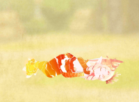 2025-08-06 19_34_42-408_6_1_Screenshot_20241223_121911.png.77c4b651-be3e-46f9-a070-c80eef43a77c.png .png