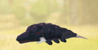 wormmonol2dsleep.PNG