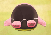 2023-12-20 06_46_50-2023_09_19_09.54.35_195.jpeg - IrfanView (Zoom_ 738 x 1598).png