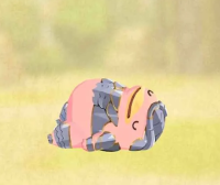 2025-01-12 20_18_01-Screenshot_2024-07-06-15-45-57-817_com.linecorp.LGMF_316.png - IrfanView.png