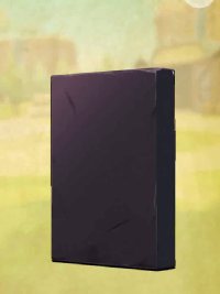 vlcsnap-00345 (2).png