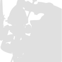 Limited_100018 #730441.png