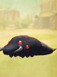 vlcsnap-00312 (2).png