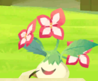 2023-07-18 23_40_56-Princess _).png