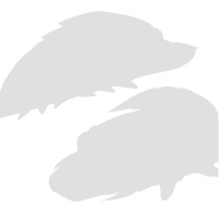 Limited_100011 (2).png