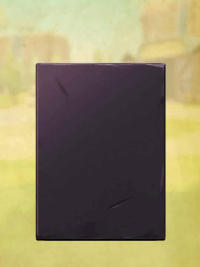 vlcsnap-00342 (2).png