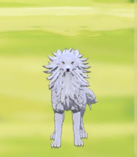 2025-02-12 05_24_10-Window.png