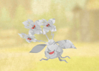 2025-01-12 21_01_09-Screenshot_20240804-055641.png - IrfanView.png