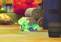 2026-03-18 20_05_56-vlcsnap-01707.png - IrfanView.png