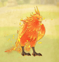 2023-12-19 01_54_03-2023_08_28_14.44.25_52.jpg - IrfanView (Zoom_ 647 x 1403).png