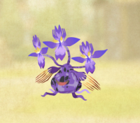 2025-02-23 11_00_09-1104_3_1_IMG_3236.png.8974a2eb-708e-4bfe-8cf2-49c64570162d.jpeg - IrfanView.png