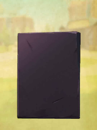 vlcsnap-00344 (2).png