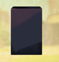 2025-08-07 09_01_20-IMG_2553.PNG - IrfanView.png