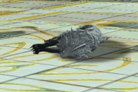 2023-06-23 23_04_38-Screenshot_2023-03-25-01-32-56-825_com.linecorp.LGMF.jpg - IrfanView.png