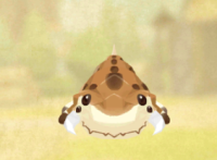 2025-02-07 13_28_57-wormham.png - IrfanView.png