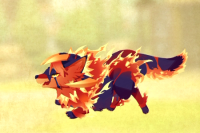 2026-03-18 19_33_11-vlcsnap-00227.png - IrfanView.png