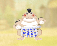 2025-02-07 13_25_36-kawazumoyokodzuna.png - IrfanView.png