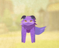 2025-01-13 03_31_31-Screenshot_20240804-061602.png - IrfanView.png