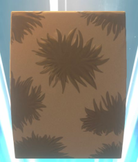 2024-01-08 13_52_38-Window.png