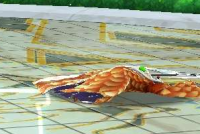 2025-03-03 23_09_27-3511_2_1_Screenshot_20230601_215246_com.linecorp.LGMF.jpg.7a8fb02d-a7f4-4def-961.png