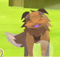 2024-03-11 02_23_31-vlcsnap-02855.png - IrfanView.png