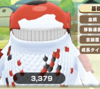 2025-02-23 20_51_09-3541_1_1_IMG_2284.png.6f43a31d-1567-4ab5-a748-b67f6b6368ed_1.png - IrfanView.png