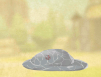 2025-01-12 21_02_25-Screenshot_20240804-055936.png - IrfanView.png