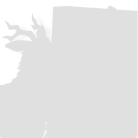 Limited_100055 (2).png