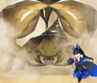 2024-03-03 19_06_12-Screenshot_2024-03-03-18-40-59-693_com.miui.gallery.jpg - IrfanView.png