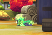 2026-03-18 20_07_56-vlcsnap-01738.png - IrfanView.png