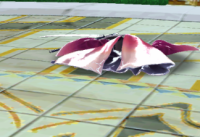 2023-07-18 21_45_42-Princess _).png