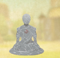 2025-08-07 09_02_17-IMG_2595.PNG - IrfanView.png