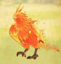 2023-12-19 01_59_36-2023_08_28_14.45.33_39.jpg - IrfanView (Zoom_ 647 x 1403).png