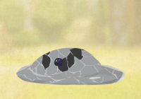 2024-01-10 13_36_56-Window.png