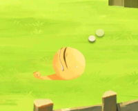 2023-12-19 01_48_32-2023_08_11_08.45.03_24.jpg - IrfanView (Zoom_ 442 x 958).png