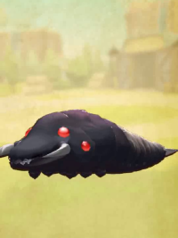 vlcsnap-00313 (2).png