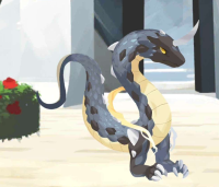 2024-01-17 23_39_08-2024_01_15_15.16.38_13.jpg - IrfanView.png