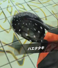 2024-01-10 14_06_58-Window.png