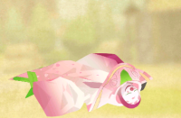 2025-01-12 21_03_21-Screenshot_20240804-060125.png - IrfanView.png