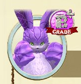 2025-02-18 06_05_14-Window.png