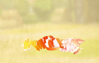 2024-12-23 08_19_39-41_6_1_Screenshot_20241223_121911.png.b00d4061-9624-4bdc-8c1a-3b231965e879.png -.png